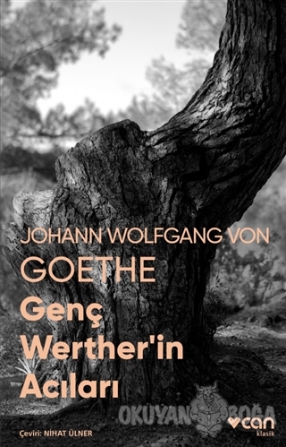 Genç Werther'in Acıları