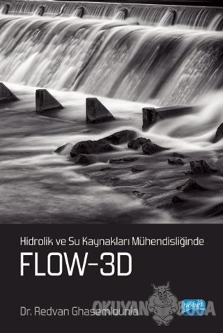 Hidrolik ve Su Kaynakları Mühendisliğinde Flow-3D - Redvan Ghasemlouni