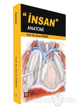 İnsan Anatomi - Davut Özbağ - İstanbul Tıp Kitabevi