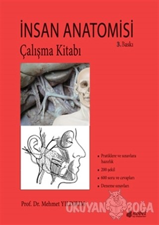 İnsan Anatomisi Çalışma Kitabı - Mehmet Yıldırım - Nobel Tıp Kitabevi