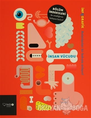 İnsan Vücudu