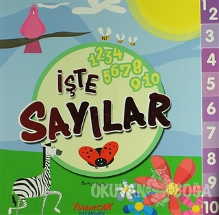 İşte Sayılar