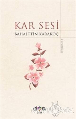 Kar Sesi