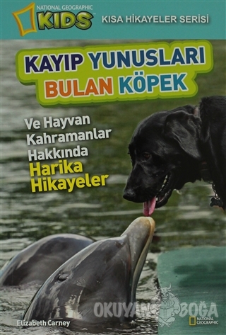 Kayıp Yunusları Bulan Köpek