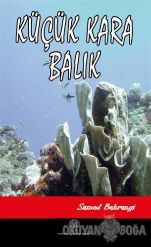Küçük Kara Balık - Samed Behrengi - Platanus Publishing