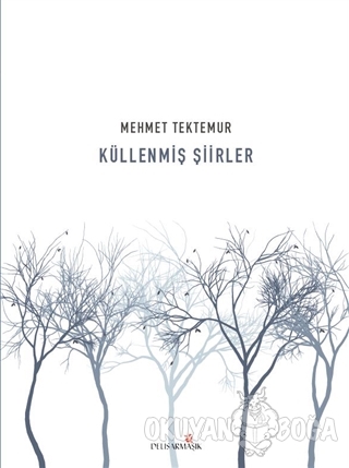 Küllenmiş Şiirler - Mehmet Tektemur - Delisarmaşık Yayınları