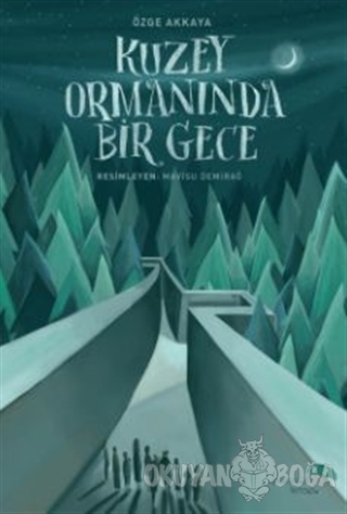 Kuzey Ormaninda Bir Gece Ozge Akkaya Parasut Kitap