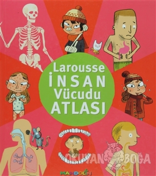 Larousse İnsan Vücudu Atlası (Ciltli) - Kolektif - Mandolin Yayınları