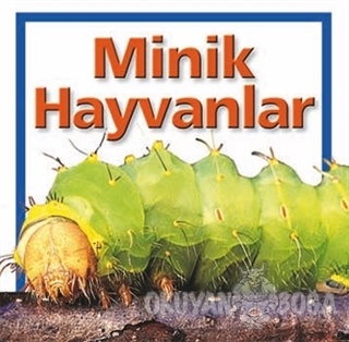 Minik Hayvanlar (Ciltli)