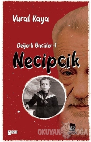 Necipcik