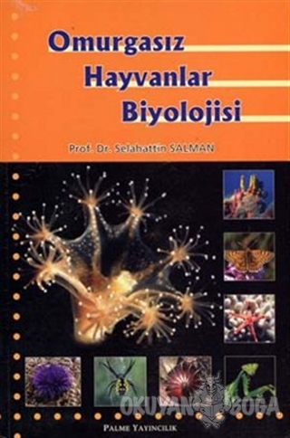 Omurgasız Hayvanlar Biyolojisi