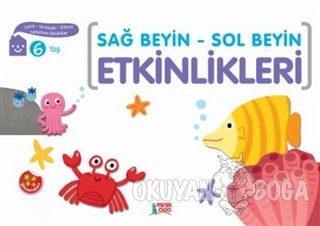 Sağ Beyin - Sol Beyin Etkinlikleri (6 Yaş)