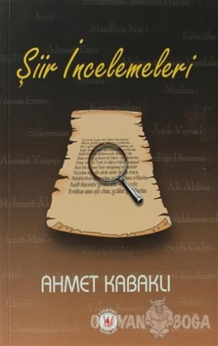 Şiir İncelemeleri