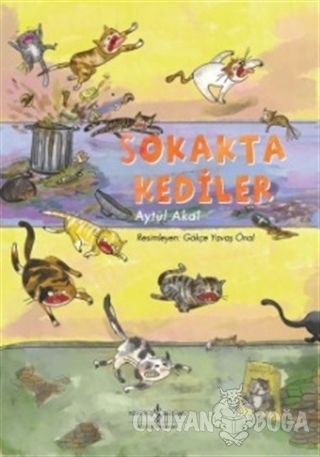 Sokakta Kediler