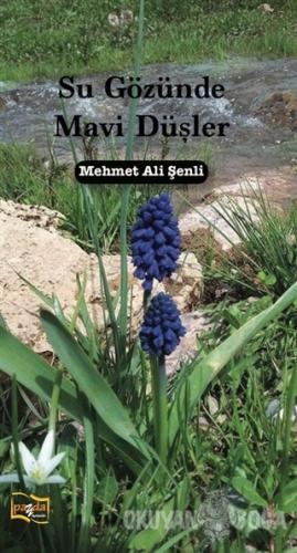 Su Gözünde Mavi Düşler - Mehmet Ali Şenli - Payda Yayıncılık