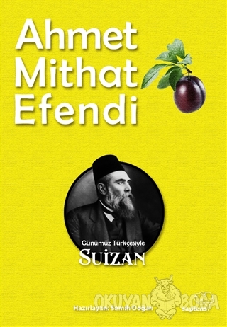 Suizan (Günümüz Türkçesiyle) - Ahmet Mithat Efendi - Sapiens Yayınları