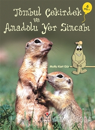 Tombul Çekirdek ve Anadolu Yer Sincabı
