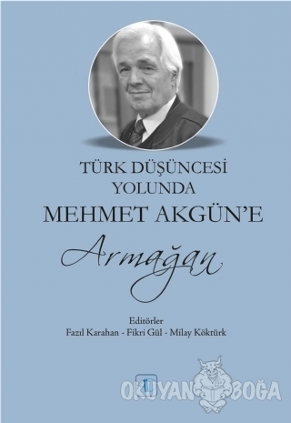 Türk Düşüncesi Yolunda Mehmet Akgün'e Armağan - Kolektif - Aktif Düşün