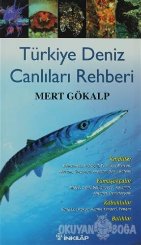 Türkiye Deniz Canlıları Rehberi (Ciltli) - Mert Gökalp - İnkılap Kitab