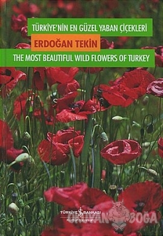 Türkiye'nin En Güzel Yaban Çiçekleri 1. Cilt 1. Volume (Ciltli) - Erdo