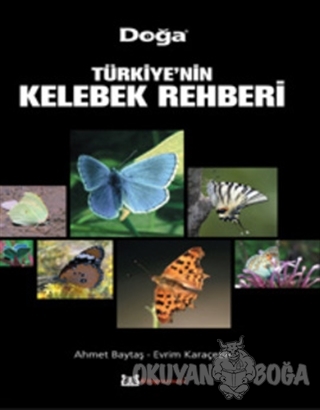 Türkiye'nin Kelebek Rehberi - Ahmet Baytaş - Kitap Yayınevi