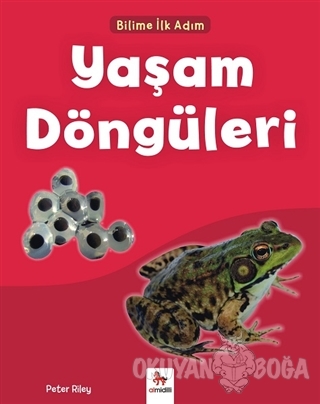 Yaşam Döngüleri - Bilime İlk Adım