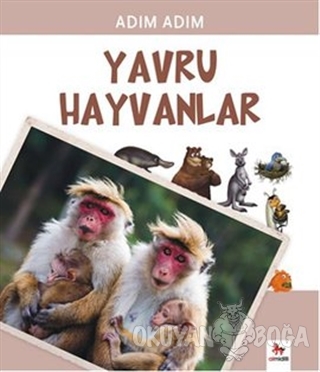Yavru Hayvanlar