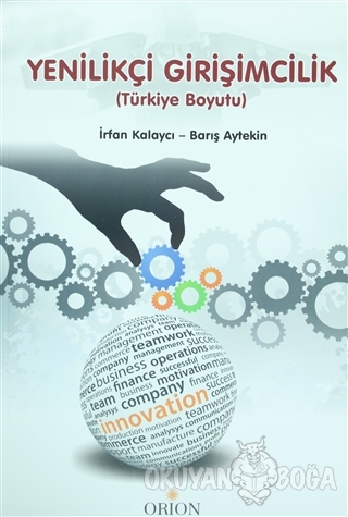 Yenilikçi Girişimcilik (Türkiye Boyutu) - İrfan Kalaycı - Orion Kitabe