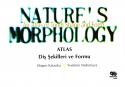 Nature's Morphology (Doğanın Morfolojisi)