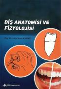 Diş Anatomisi ve Fizyolojisi