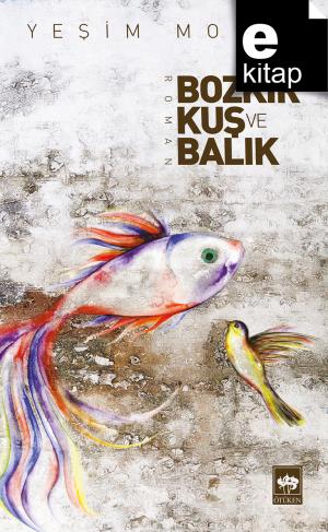 Bozkır, Kuş ve Balık / e-kitap