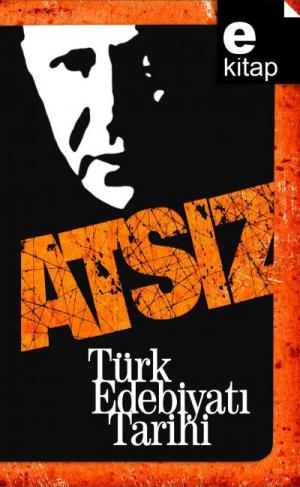 Türk Edebiyatı Tarihi / e-kitap