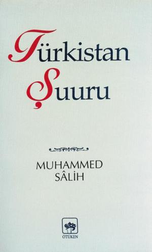 Türkistan Şuuru