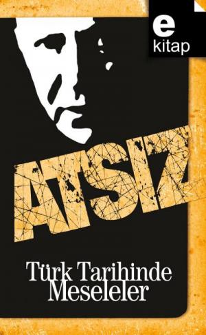Türk Tarihinde Meseleler / e-kitap