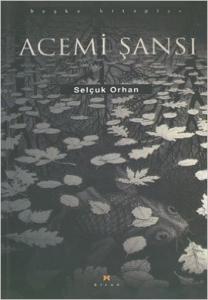 Acemi Şansı