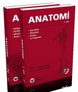 Arıncı Anatomi 1-2