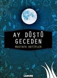 Ay Düştü Geceden