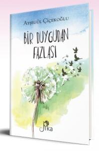 Bir Duygudan Fazlası