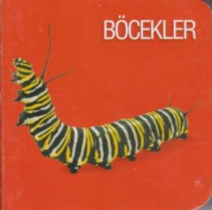 Böcekler