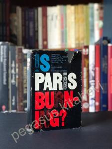 is Paris Burning?