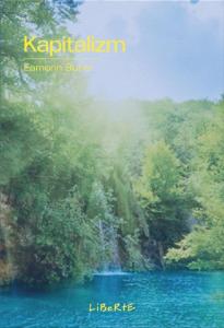 Kapitalizm