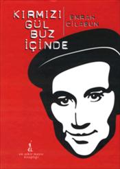 Kırmız Gül Buz İçinde DVD Ekli