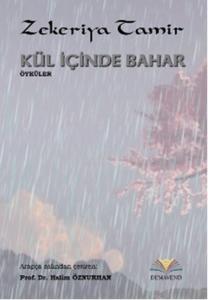 Kül İçinde Bahar