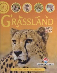 Life Cycles Grassland 8 12 Ages