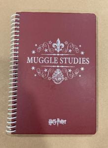 Mabbels BTS Muggle Studies