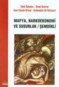 Mafya, Narkoekonemi ve Susurluk Şemdinli