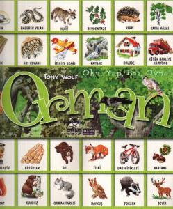 Orman Oku Yap Boz Oyna