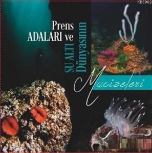 Prens Adaları ve Su Altı Dünyasının Mucizeleri