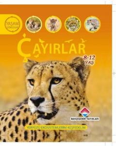 Yaşam Döngüsü Çayırlar 8 12 Yaş