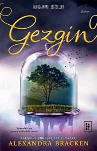 Yolcu Serisi 2. Kitap Gezgin